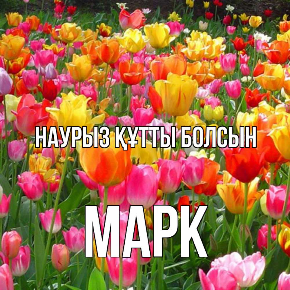 Күн сайын ашық хат с именем, Марк Наурыз құтты болсын на наурыз  ура ура Онлайн тегін жүктеп алу тілектері бар керемет карта 