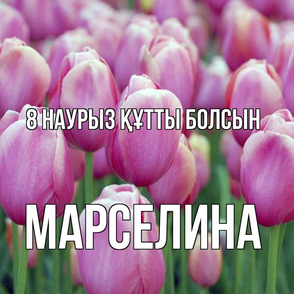 Күн сайын ашық хат с именем, Марселина 8 наурыз құтты болсын на международный женский день 3 Онлайн тегін жүктеп алу тілектері бар керемет карта 