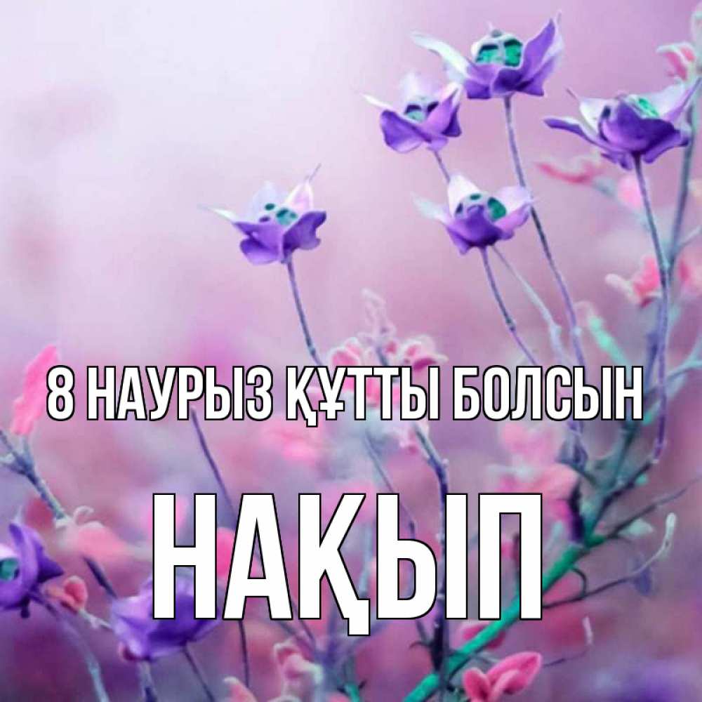 Күн сайын ашық хат с именем, НАҚЫП 8 наурыз құтты болсын международный женский день 2 Онлайн тегін жүктеп алу тілектері бар керемет карта 
