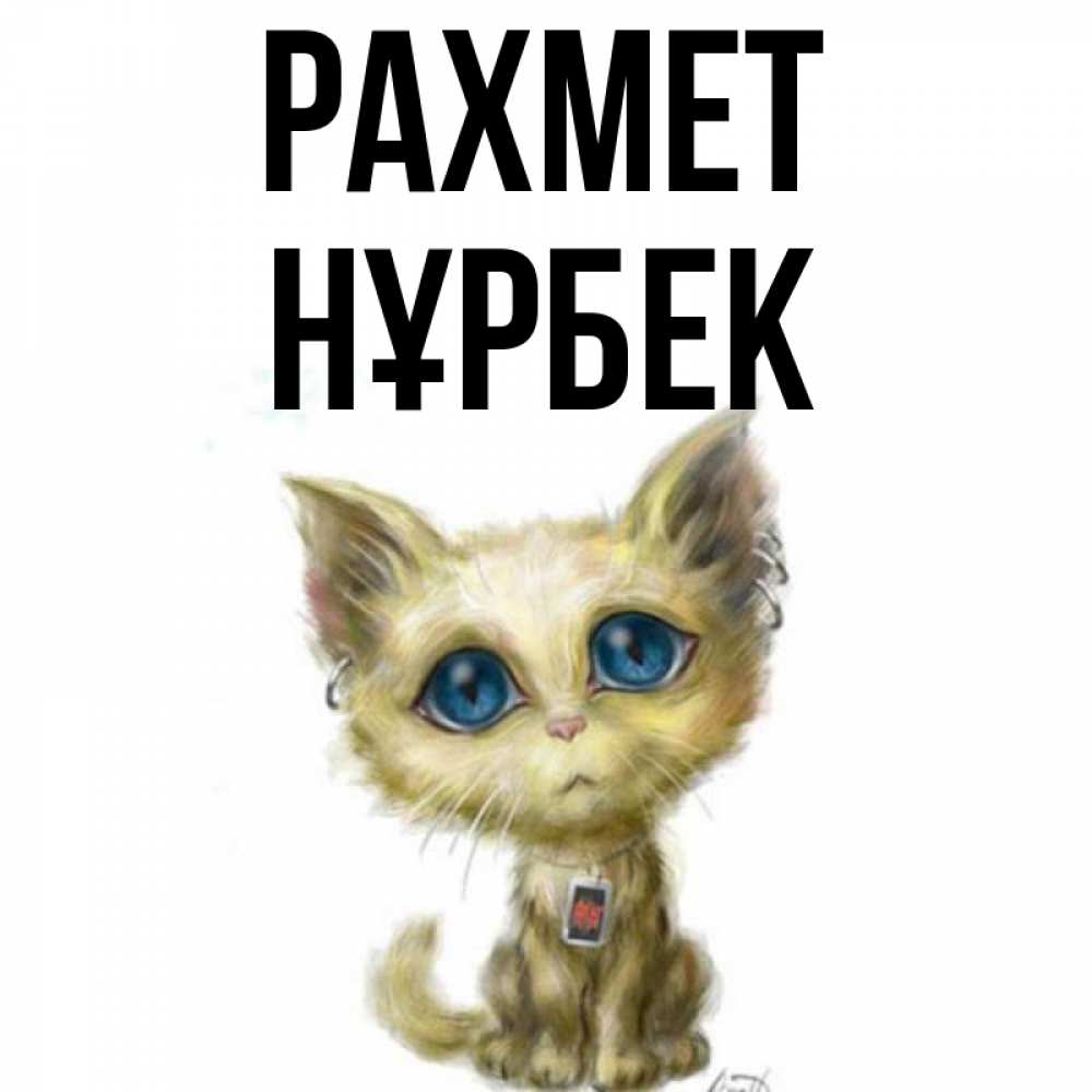 Күн сайын ашық хат с именем, НҰРБЕК рахмет рисованный кот благодарит вас Онлайн тегін жүктеп алу тілектері бар керемет карта 