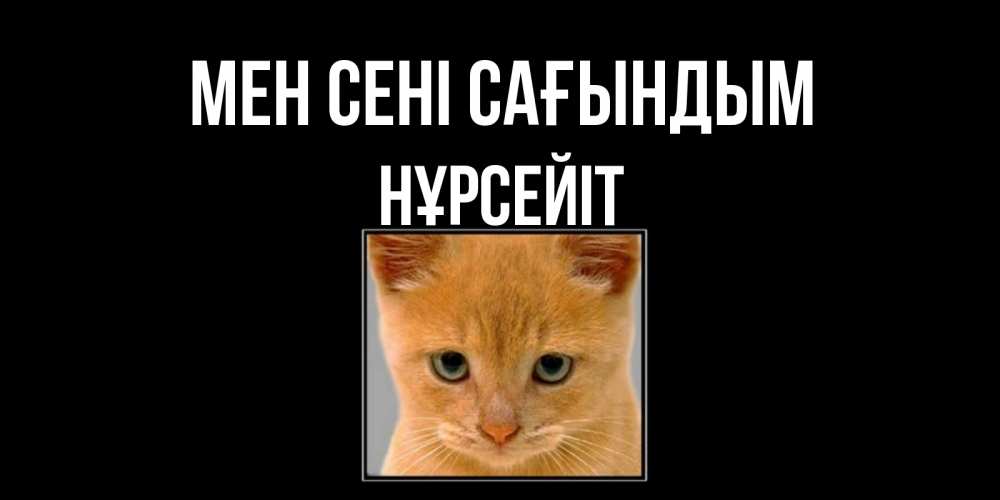 Күн сайын ашық хат с именем, НҰРСЕЙІТ Мен сені сағындым открытки рыжий котенок скучает по тебе Онлайн тегін жүктеп алу тілектері бар керемет карта 