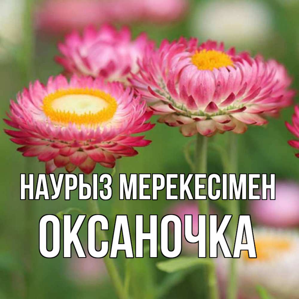 Күн сайын ашық хат с именем, Оксаночка Наурыз мерекесімен подарок на международный женский день Онлайн тегін жүктеп алу тілектері бар керемет карта 