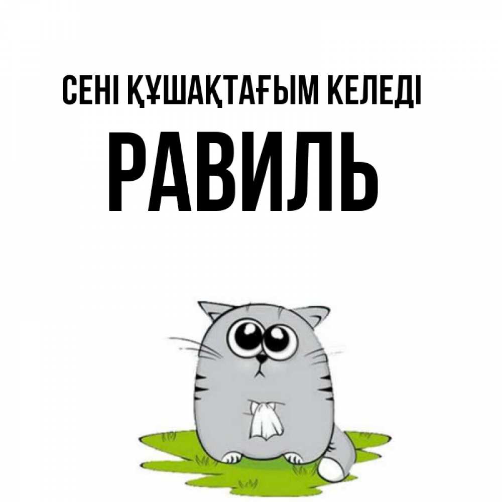 Күн сайын ашық хат с именем, Равиль сені құшақтағым келеді котик теребит платочек сидя на травке Онлайн тегін жүктеп алу тілектері бар керемет карта 