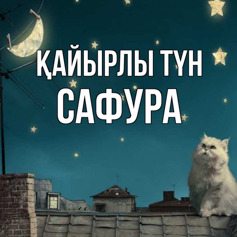 Күн сайын ашық хат с именем, САФУРА Қайырлы түн белый кот сидит на крыше Онлайн тегін жүктеп алу тілектері бар керемет карта 