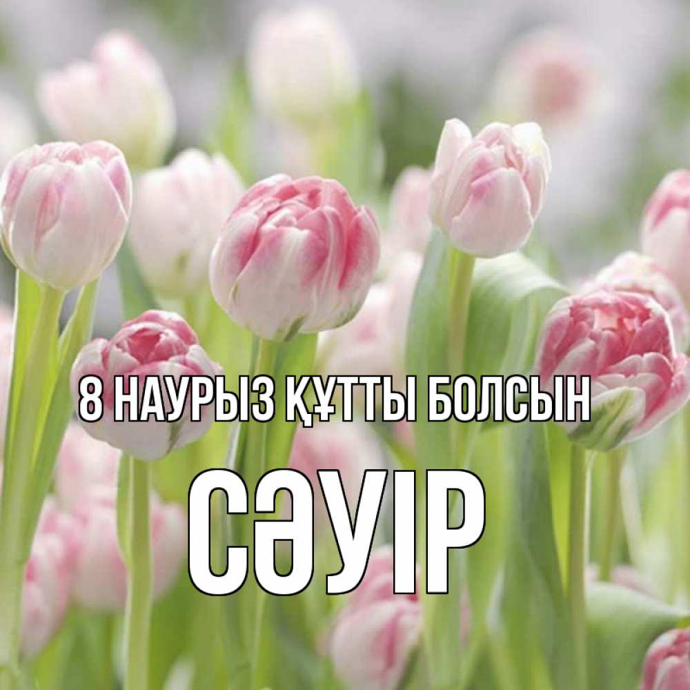 Күн сайын ашық хат с именем, СӘУІР 8 наурыз құтты болсын цветы Онлайн тегін жүктеп алу тілектері бар керемет карта 