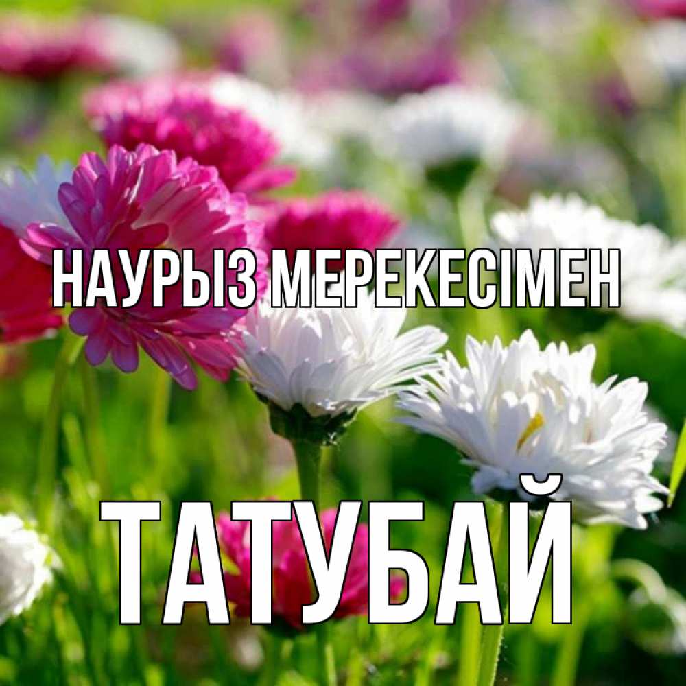Күн сайын ашық хат с именем, ТАТУБАЙ Наурыз мерекесімен праздник весны наурыз красота Онлайн тегін жүктеп алу тілектері бар керемет карта 