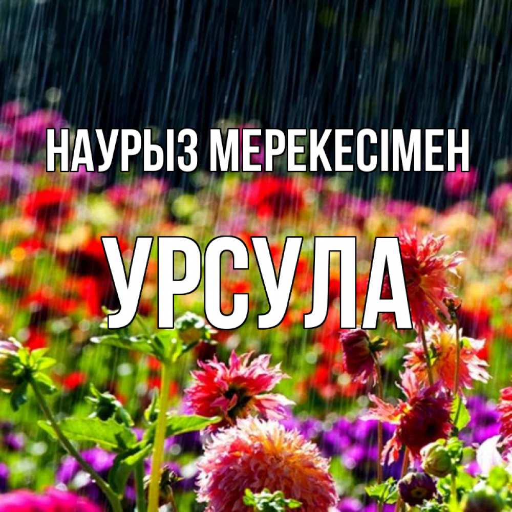 Күн сайын ашық хат с именем, Урсула Наурыз мерекесімен цветы под дождиком к международному женскому дню Онлайн тегін жүктеп алу тілектері бар керемет карта 