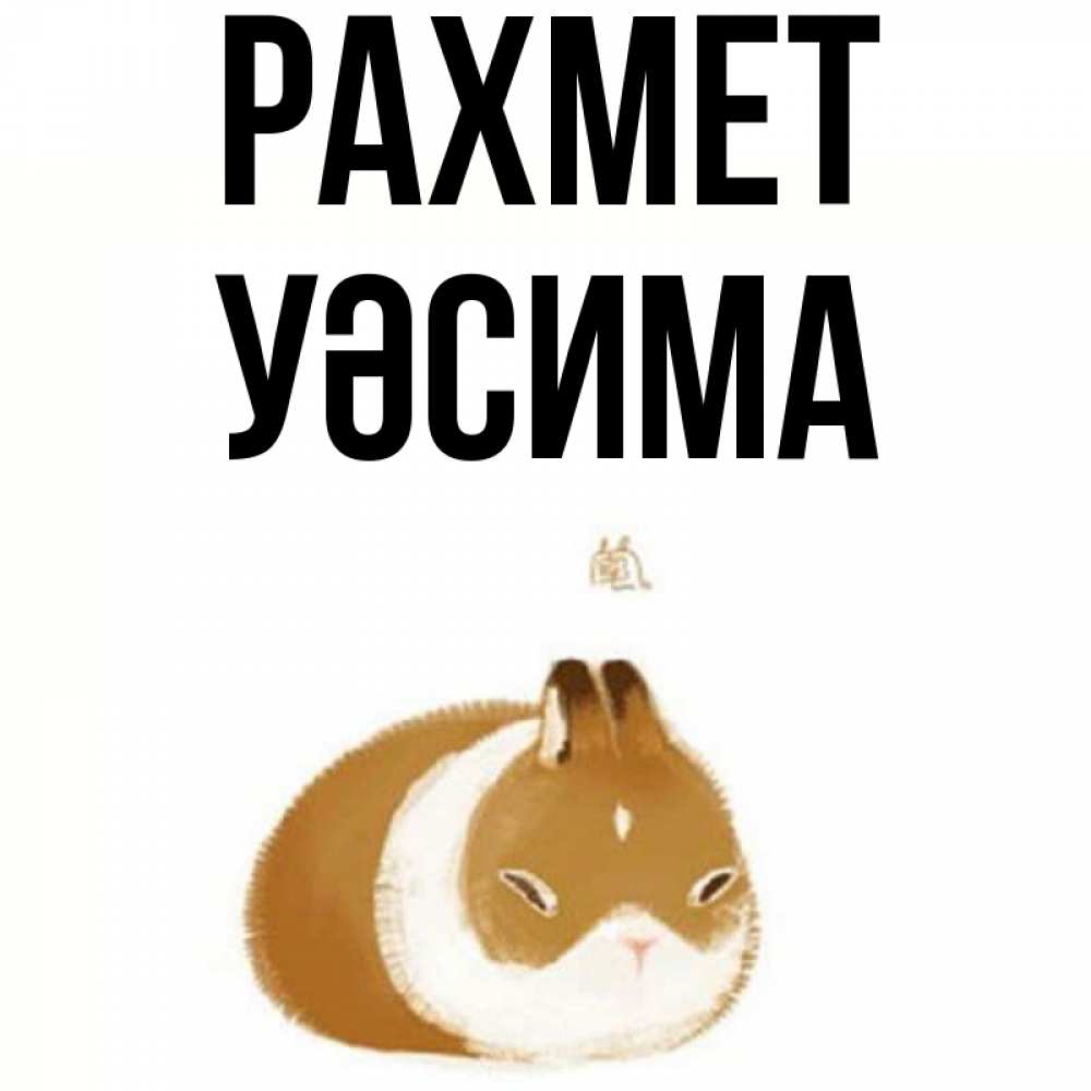 Күн сайын ашық хат с именем, УӘСИМА рахмет коричнево белый домашний питомец Онлайн тегін жүктеп алу тілектері бар керемет карта 