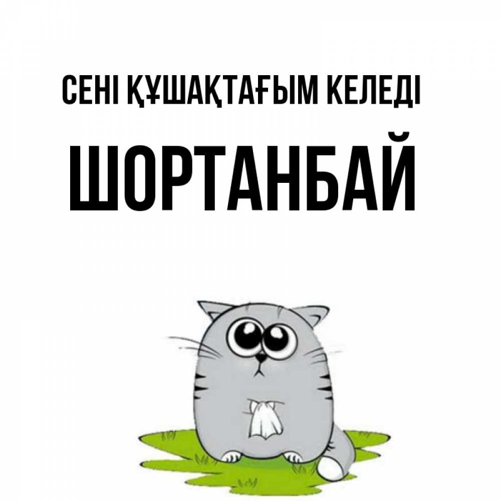 Күн сайын ашық хат с именем, ШОРТАНБАЙ сені құшақтағым келеді котик теребит платочек сидя на травке Онлайн тегін жүктеп алу тілектері бар керемет карта 