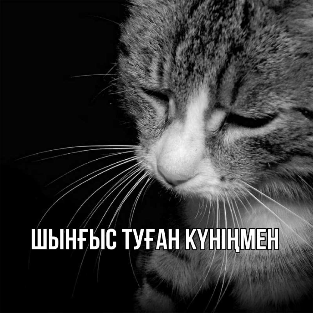 Күн сайын ашық хат с именем, ШЫНҒЫС-ТУҒАН-КҮНІҢМЕН Главная мне скучно Онлайн тегін жүктеп алу тілектері бар керемет карта 