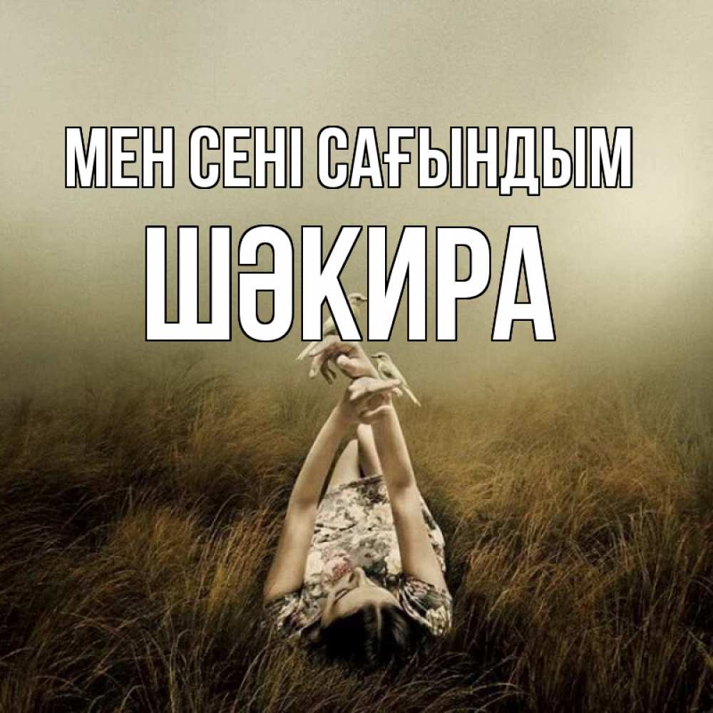 Күн сайын ашық хат с именем, ШӘКИРА Мен сені сағындым девушка с голубями Онлайн тегін жүктеп алу тілектері бар керемет карта 