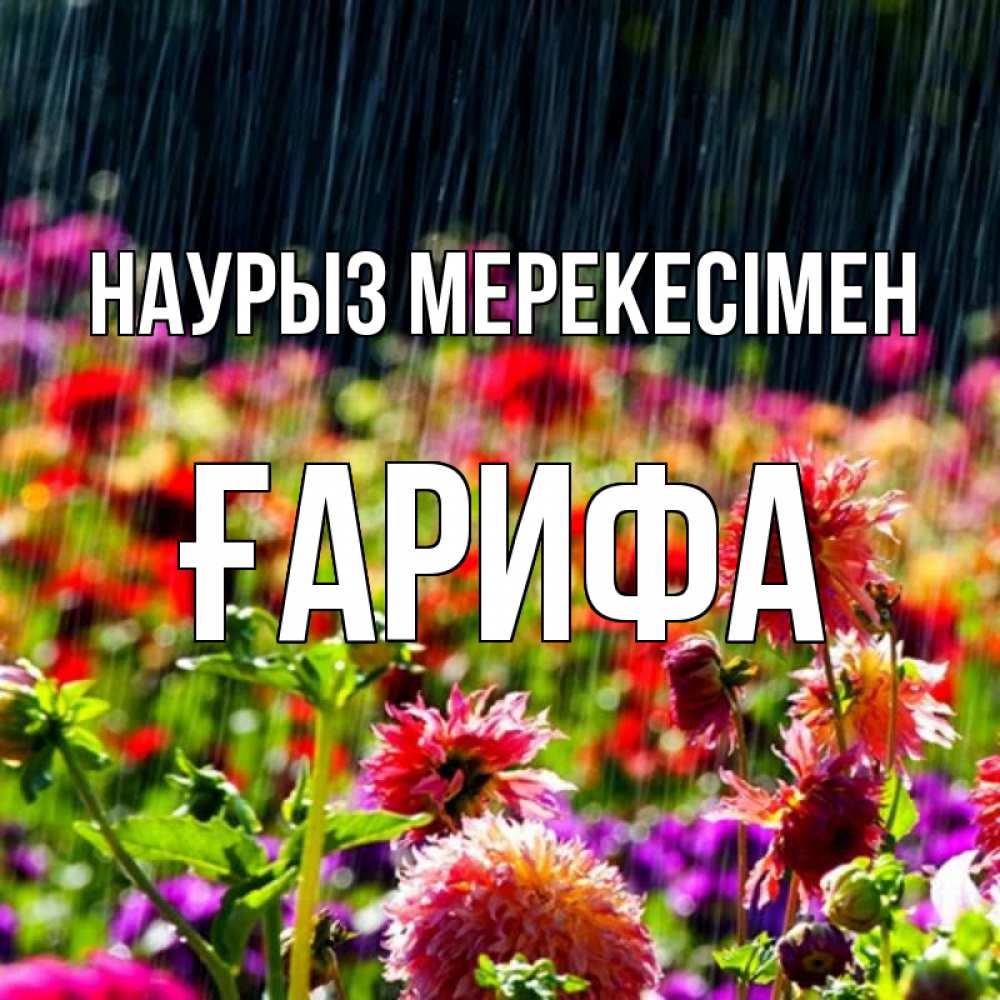 Күн сайын ашық хат с именем, ҒАРИФА Наурыз мерекесімен цветы под дождиком к международному женскому дню Онлайн тегін жүктеп алу тілектері бар керемет карта 