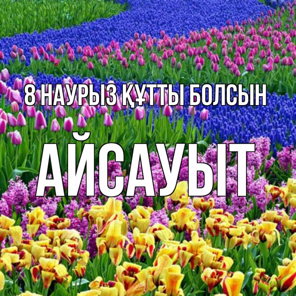 Күн сайын ашық хат с именем, Айсауыт 8 наурыз құтты болсын цветы Онлайн тегін жүктеп алу тілектері бар керемет карта 