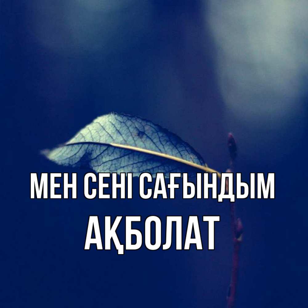 Күн сайын ашық хат с именем, Ақболат Мен сені сағындым одна ветка 1 Онлайн тегін жүктеп алу тілектері бар керемет карта 