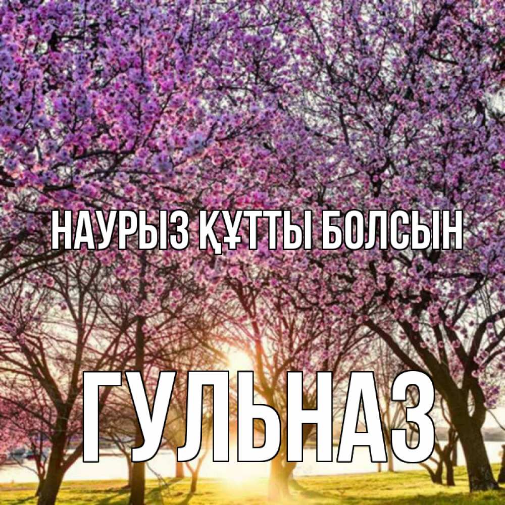 Күн сайын ашық хат с именем, Гульназ Наурыз құтты болсын наурыз Онлайн тегін жүктеп алу тілектері бар керемет карта 
