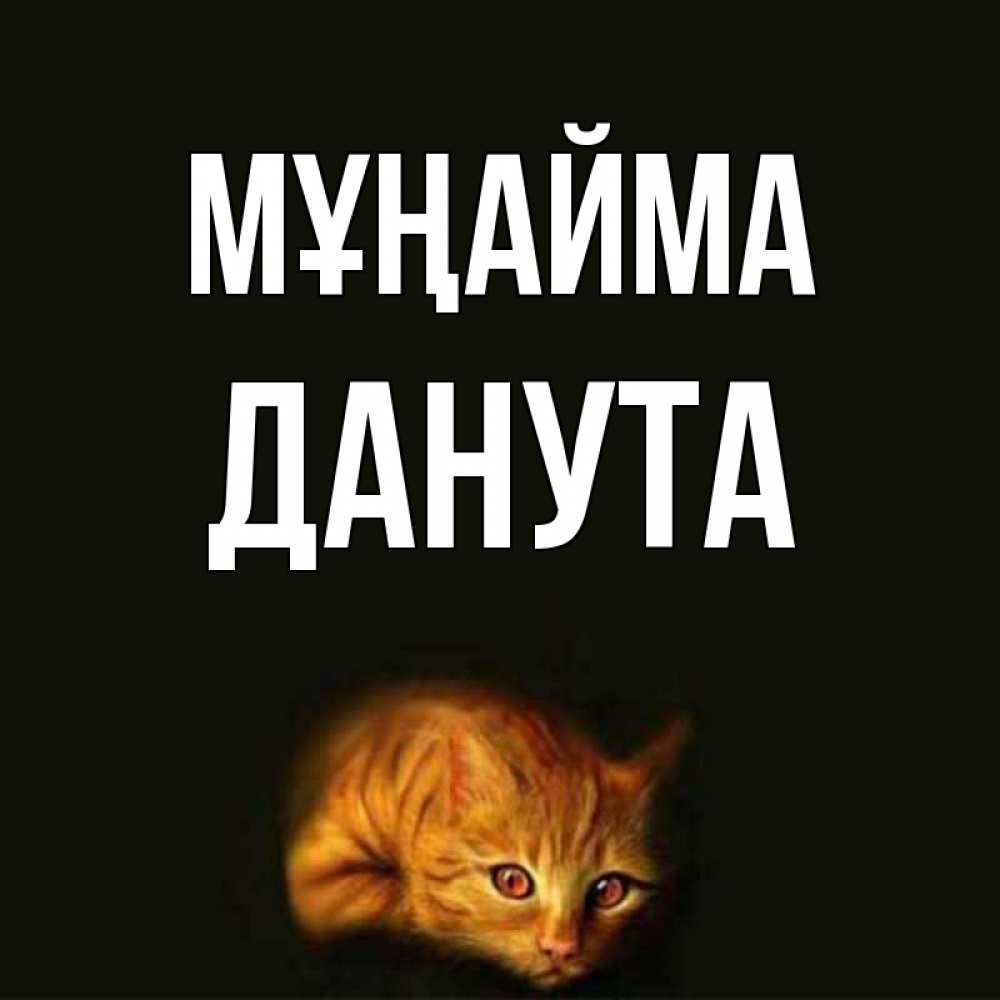 Күн сайын ашық хат с именем, Данута Мұңайма лежащий кот в темноте Онлайн тегін жүктеп алу тілектері бар керемет карта 