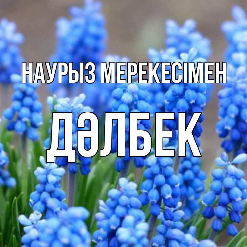 Күн сайын ашық хат с именем, Дәлбек Наурыз мерекесімен Поздравительная открытка для женщин с цветами на праздничную дату Онлайн тегін жүктеп алу тілектері бар керемет карта 