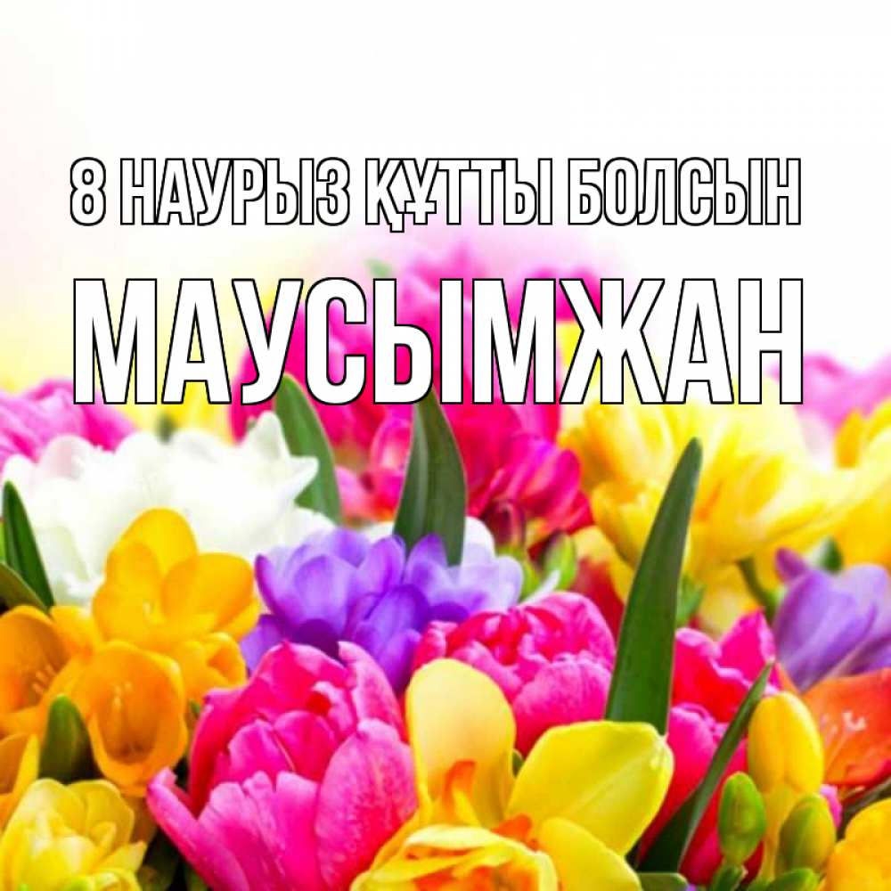 Күн сайын ашық хат с именем, МАУСЫМЖАН 8 наурыз құтты болсын тюльпаны Онлайн тегін жүктеп алу тілектері бар керемет карта 