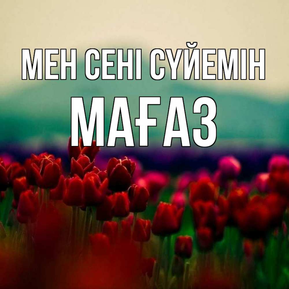 Күн сайын ашық хат с именем, МАҒАЗ Мен сені сүйемін тюльпаны 4 Онлайн тегін жүктеп алу тілектері бар керемет карта 
