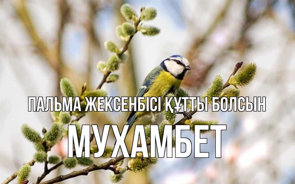 Күн сайын ашық хат с именем, МУХАМБЕТ Пальма жексенбісі құтты болсын верба Онлайн тегін жүктеп алу тілектері бар керемет карта 
