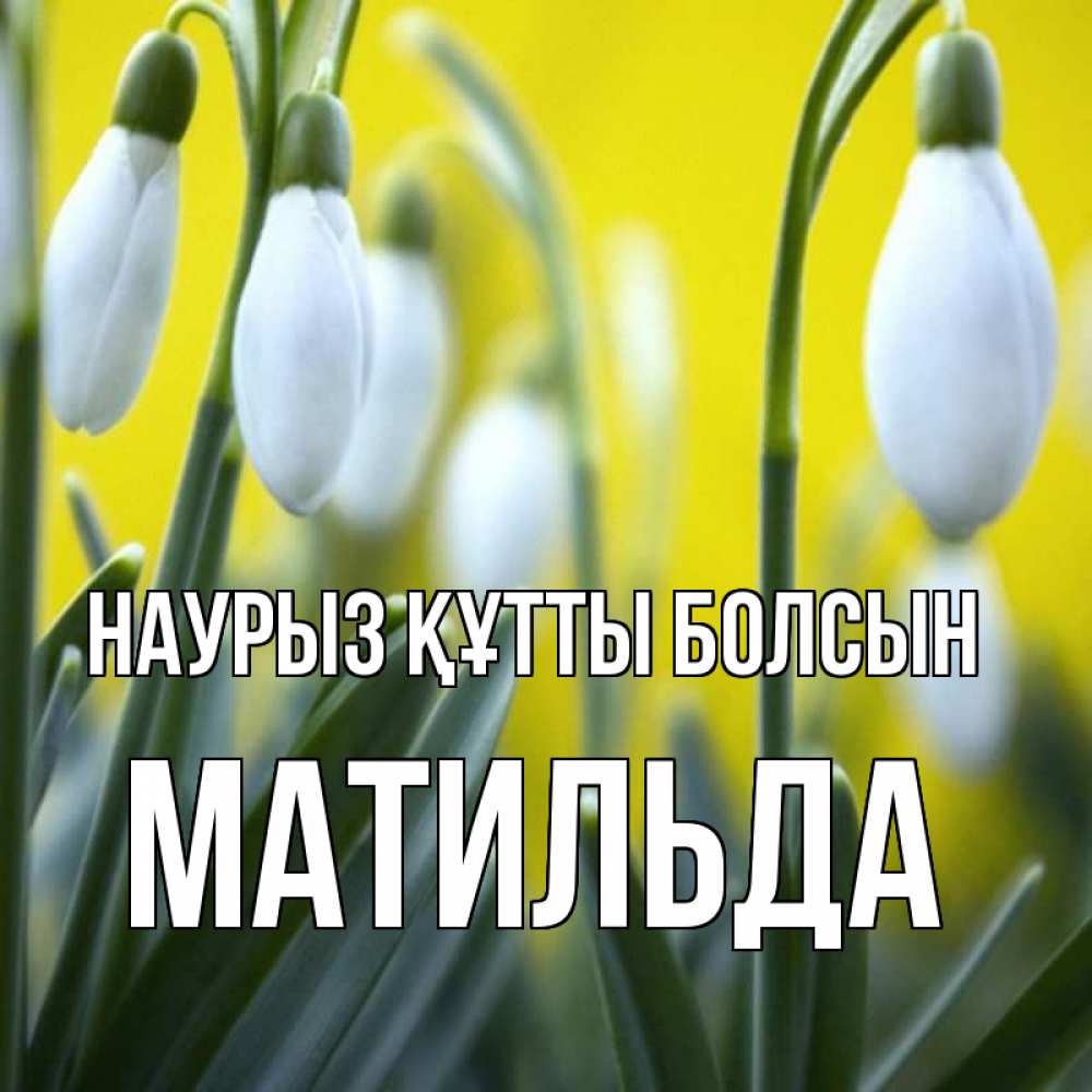 Күн сайын ашық хат с именем, Матильда Наурыз құтты болсын весенние цветы Онлайн тегін жүктеп алу тілектері бар керемет карта 