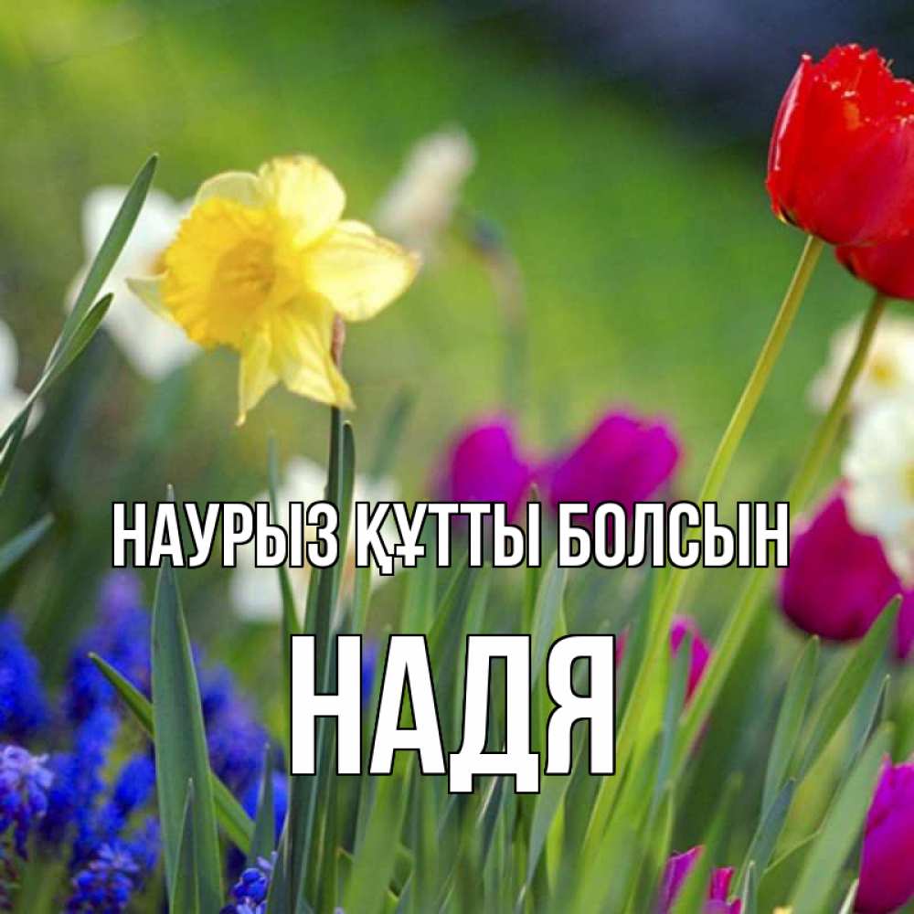 Күн сайын ашық хат с именем, Надя Наурыз құтты болсын наурыз  3 открытки Онлайн тегін жүктеп алу тілектері бар керемет карта 