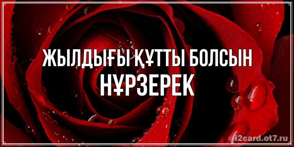 Күн сайын ашық хат с именем, НҰРЗЕРЕК Жылдығы құтты болсын крупная бордовая роза Онлайн тегін жүктеп алу тілектері бар керемет карта 