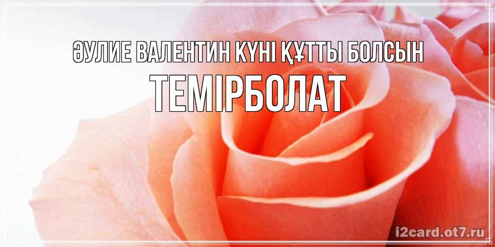 Күн сайын ашық хат с именем, ТЕМІРБОЛАТ Әулие Валентин күні құтты болсын открытка на день Святого Валентина с розовой розой Онлайн тегін жүктеп алу тілектері бар керемет карта 