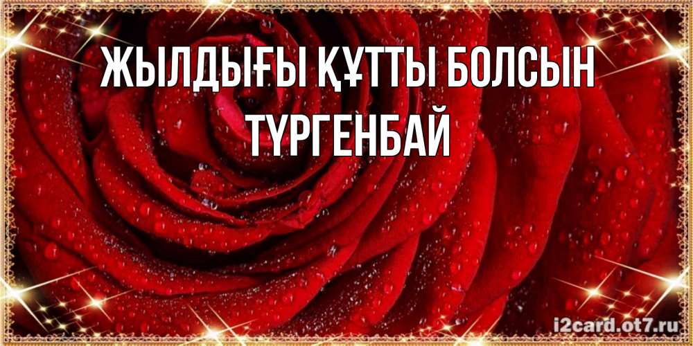 Күн сайын ашық хат с именем, ТҮРГЕНБАЙ Жылдығы құтты болсын роса на розе блестящая в лучах солнца Онлайн тегін жүктеп алу тілектері бар керемет карта 