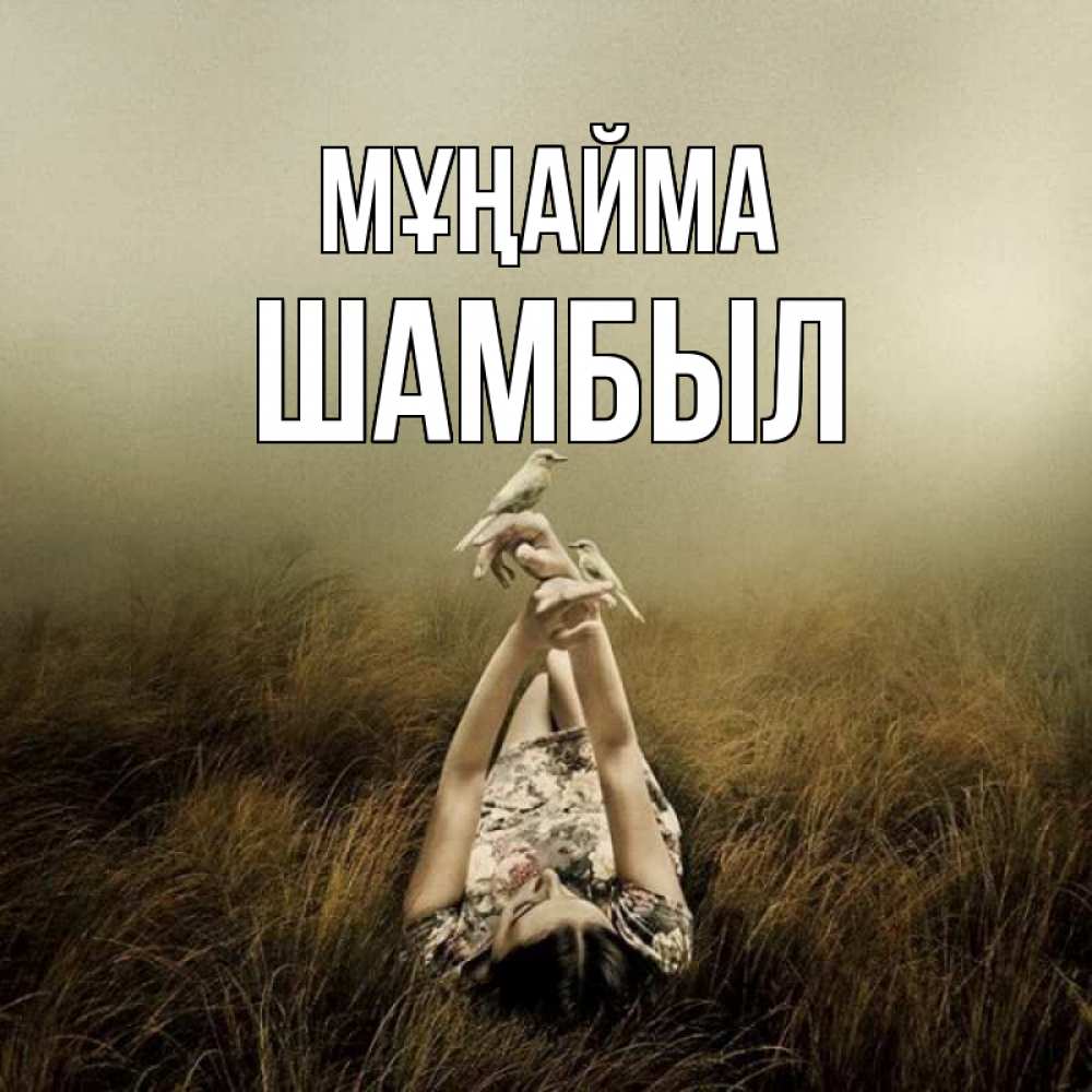 Күн сайын ашық хат с именем, ШАМБЫЛ Мұңайма поле и туман Онлайн тегін жүктеп алу тілектері бар керемет карта 