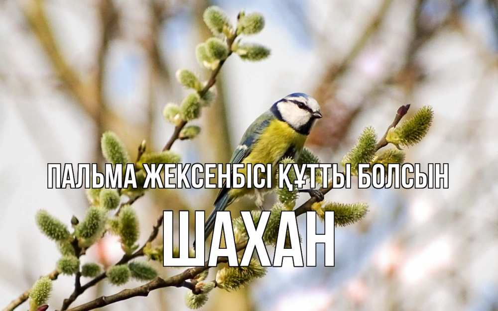 Күн сайын ашық хат с именем, ШАХАН Пальма жексенбісі құтты болсын верба Онлайн тегін жүктеп алу тілектері бар керемет карта 