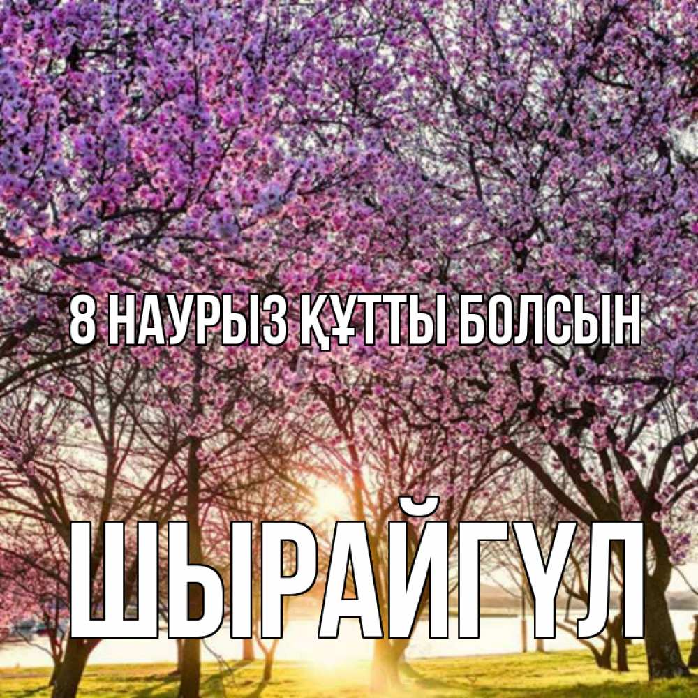 Күн сайын ашық хат с именем, ШЫРАЙГҮЛ 8 наурыз құтты болсын международный женский день Онлайн тегін жүктеп алу тілектері бар керемет карта 