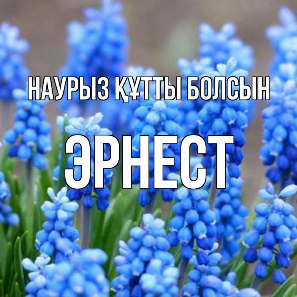 Күн сайын ашық хат с именем, Эрнест Наурыз құтты болсын Поздравительная открытка для женщин с цветами на праздничную дату Онлайн тегін жүктеп алу тілектері бар керемет карта 