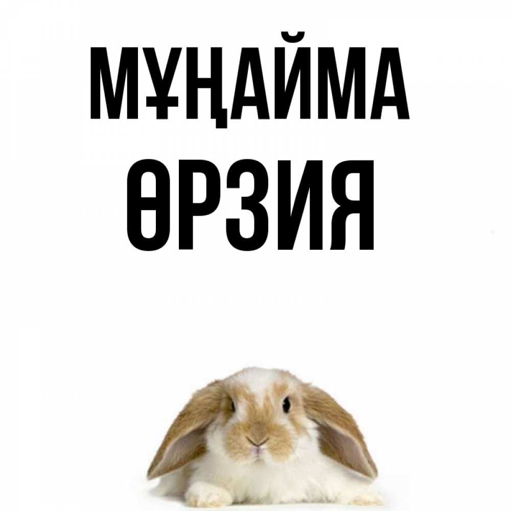 Күн сайын ашық хат с именем, ӨРЗИЯ Мұңайма коричнево белый заяц с большими ушками Онлайн тегін жүктеп алу тілектері бар керемет карта 