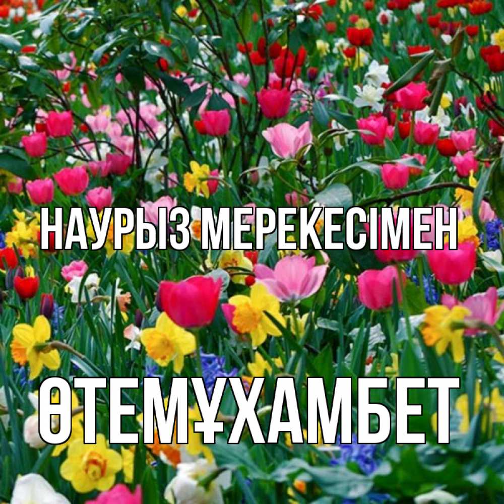 Күн сайын ашық хат с именем, ӨТЕМҰХАМБЕТ Наурыз мерекесімен с наурызом праздником весны поздравления для женщины Онлайн тегін жүктеп алу тілектері бар керемет карта 