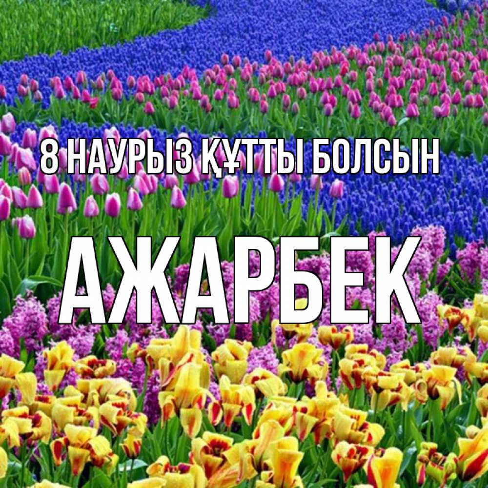 Күн сайын ашық хат с именем, Ажарбек 8 наурыз құтты болсын цветы Онлайн тегін жүктеп алу тілектері бар керемет карта 