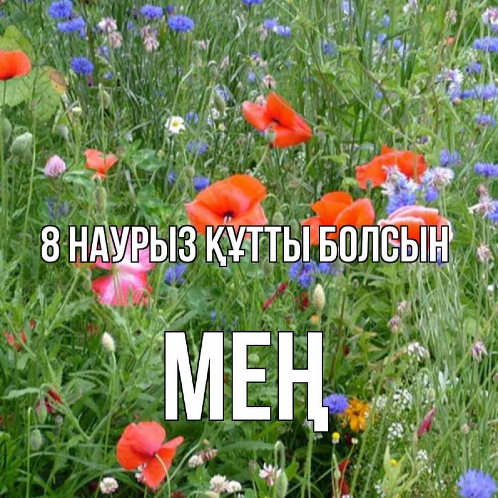Күн сайын ашық хат с именем, МЕҢ 8 наурыз құтты болсын международный женский день 4 Онлайн тегін жүктеп алу тілектері бар керемет карта 
