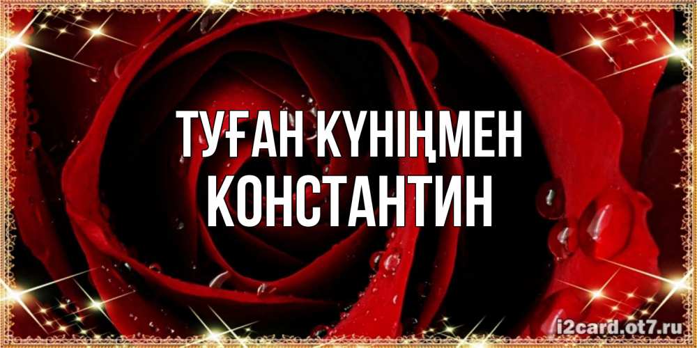 Күн сайын ашық хат с именем, Константин Туған күніңмен цветок в росе на день рождения Онлайн тегін жүктеп алу тілектері бар керемет карта 