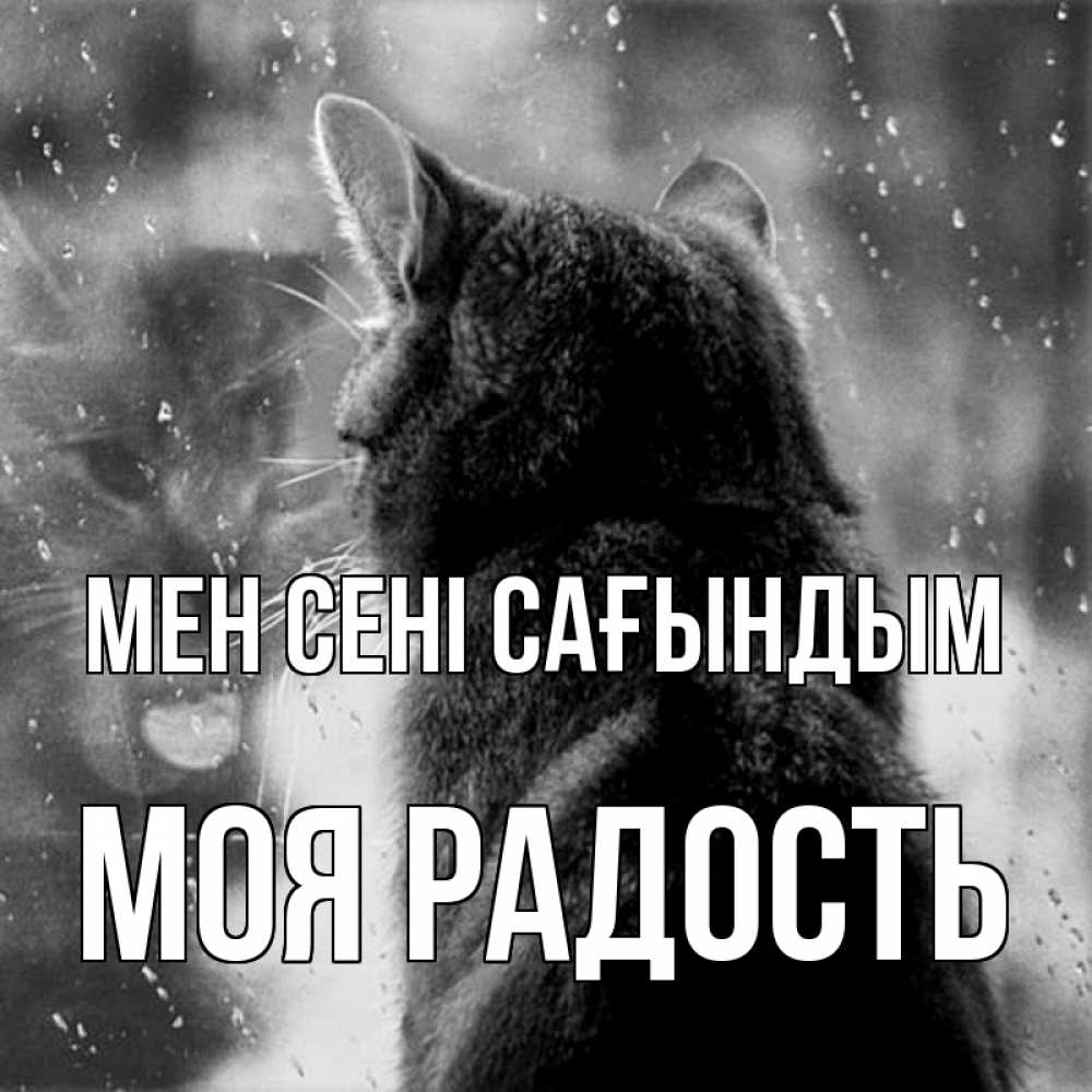 Күн сайын ашық хат с именем, Моя-радость Мен сені сағындым скорее ко мне приходи 1 Онлайн тегін жүктеп алу тілектері бар керемет карта 
