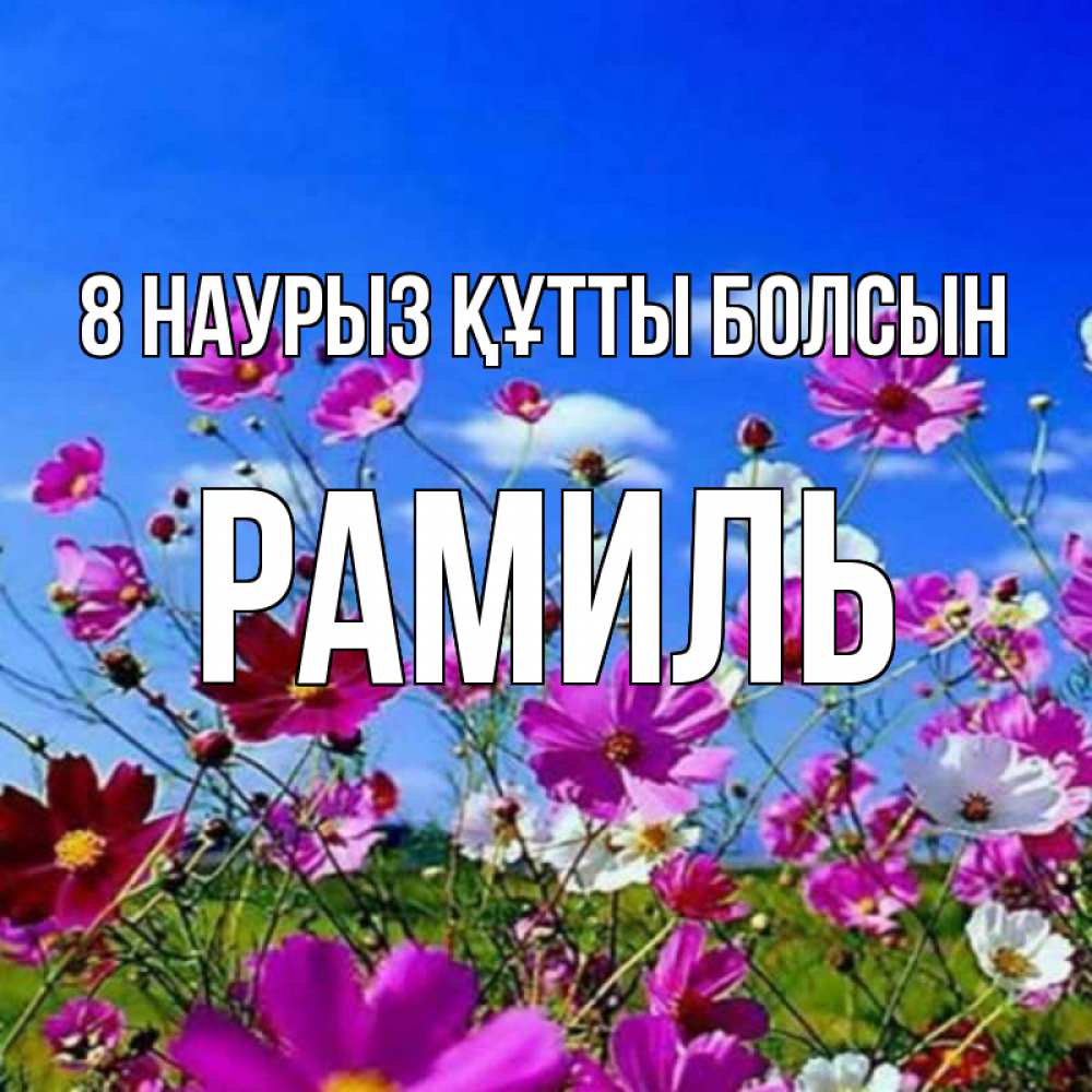 Күн сайын ашық хат с именем, Рамиль 8 наурыз құтты болсын цветы Онлайн тегін жүктеп алу тілектері бар керемет карта 
