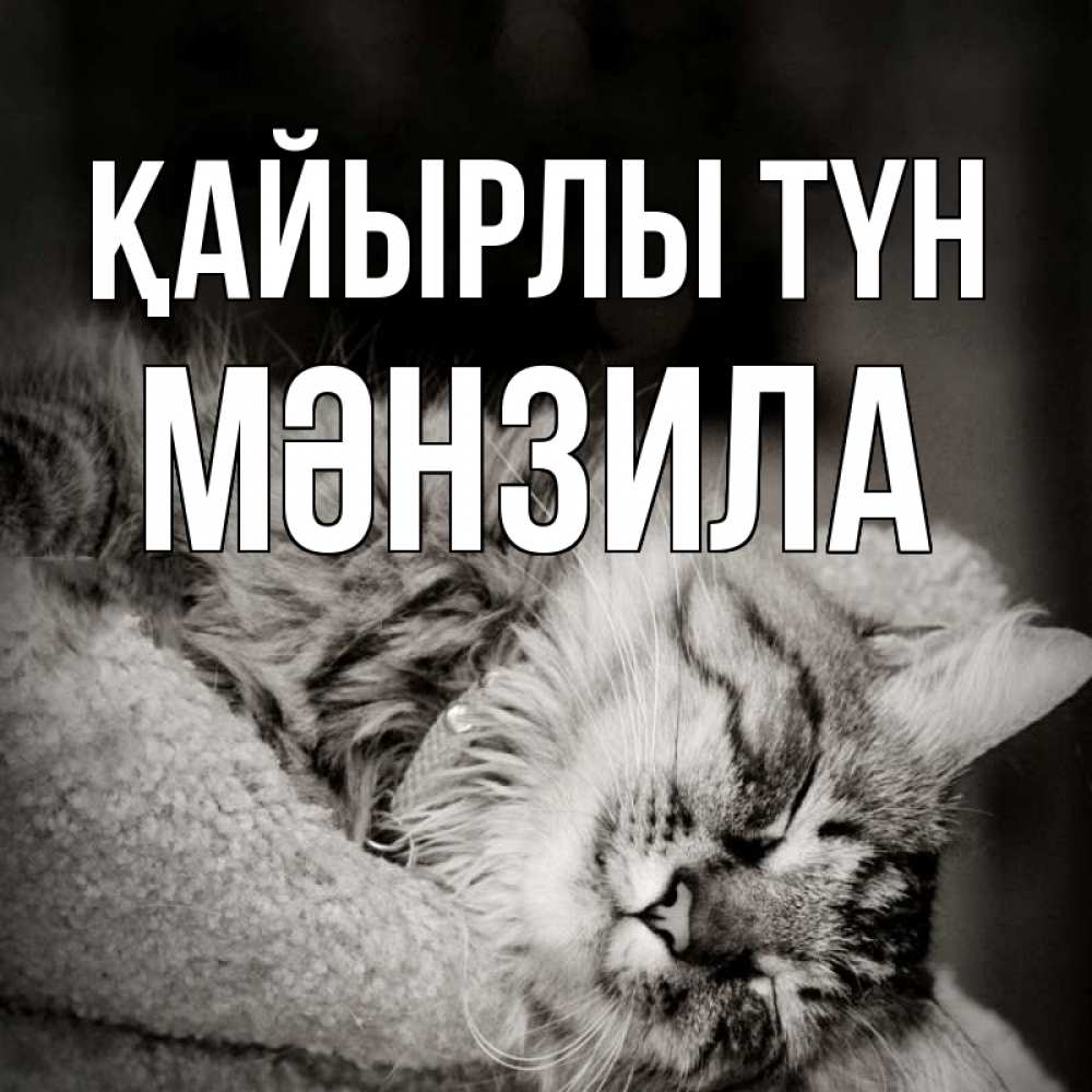 Күн сайын ашық хат с именем, МӘНЗИЛА Қайырлы түн котярик пушистый Онлайн тегін жүктеп алу тілектері бар керемет карта 