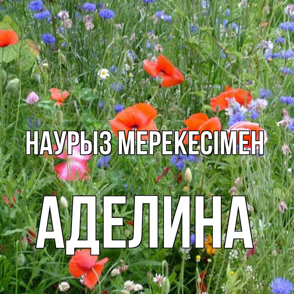 Күн сайын ашық хат с именем, Аделина Наурыз мерекесімен праздник весны наурыз супер открытка Онлайн тегін жүктеп алу тілектері бар керемет карта 