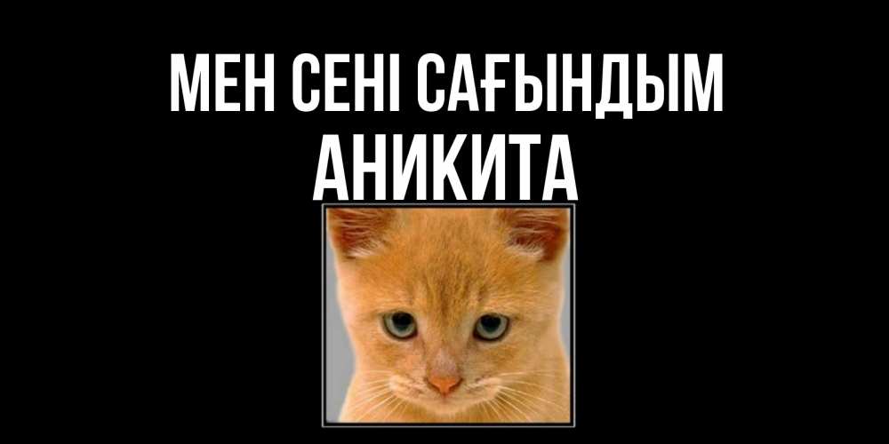 Күн сайын ашық хат с именем, Аникита Мен сені сағындым открытки рыжий котенок скучает по тебе Онлайн тегін жүктеп алу тілектері бар керемет карта 