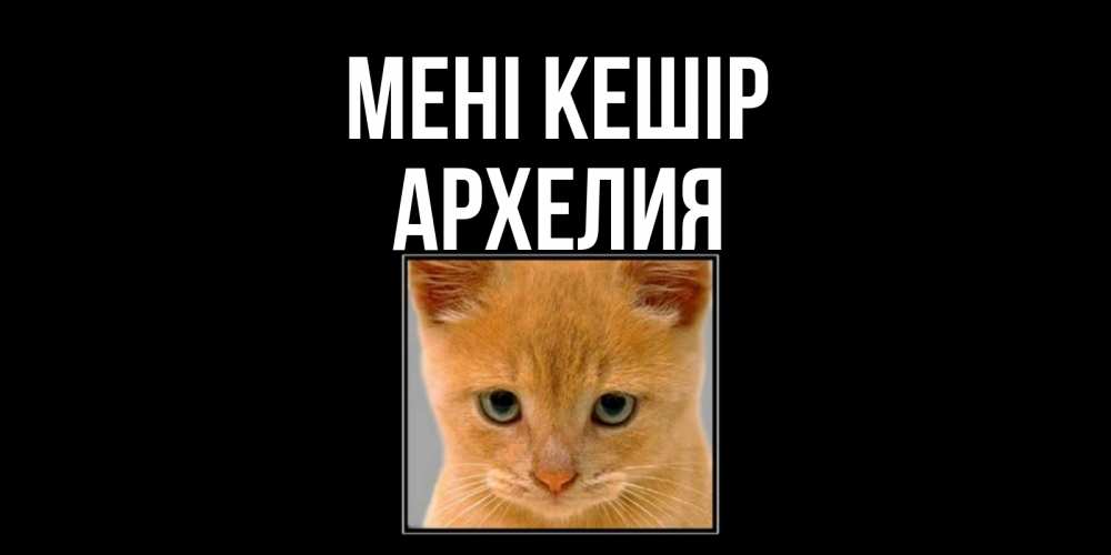 Күн сайын ашық хат с именем, Архелия Мені кешір рыжий грустный кот просит прощения Онлайн тегін жүктеп алу тілектері бар керемет карта 