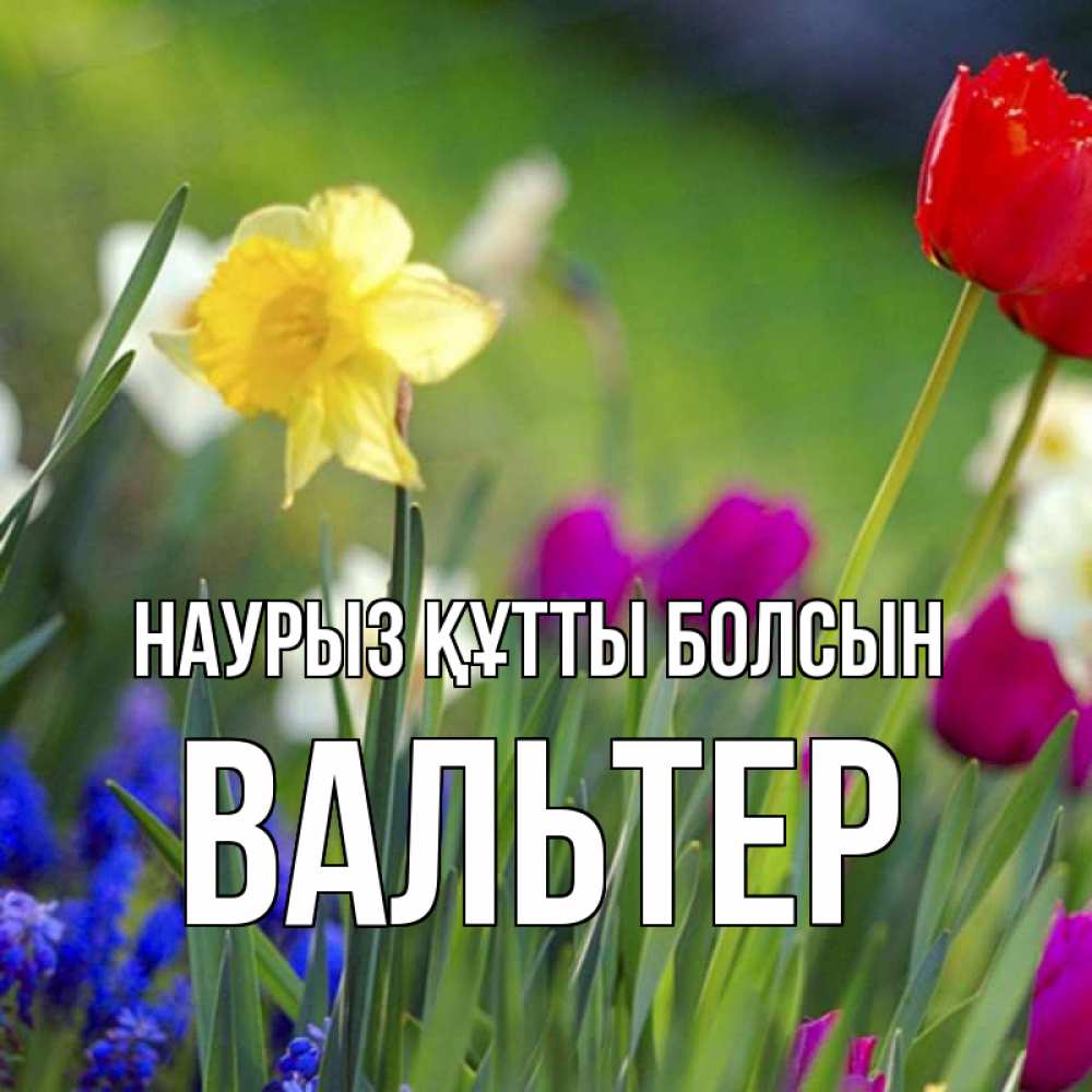 Күн сайын ашық хат с именем, Вальтер Наурыз құтты болсын наурыз  3 открытки Онлайн тегін жүктеп алу тілектері бар керемет карта 
