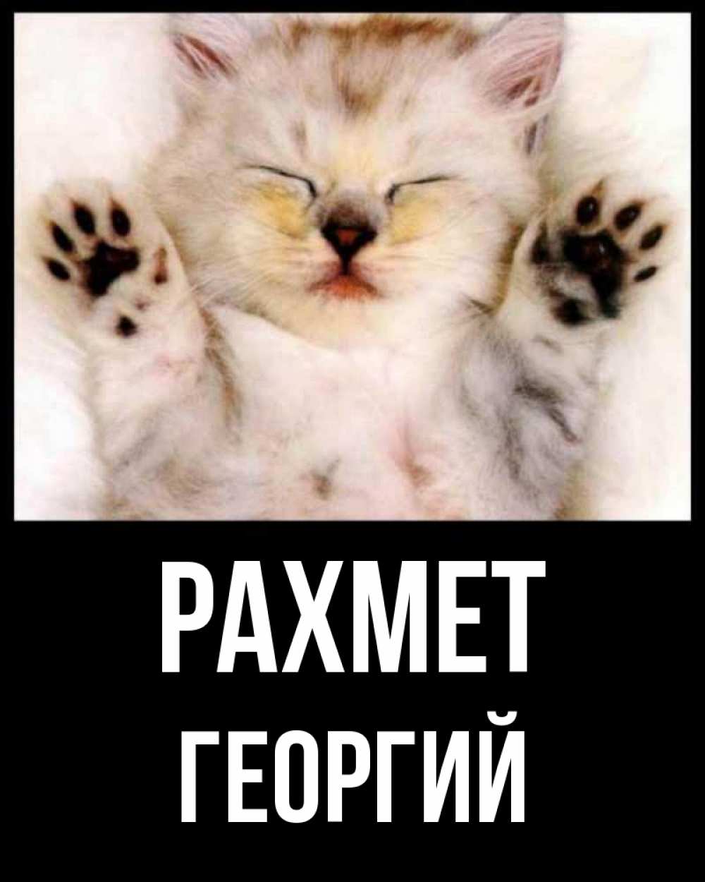 Күн сайын ашық хат с именем, Георгий рахмет маленький котенок Онлайн тегін жүктеп алу тілектері бар керемет карта 