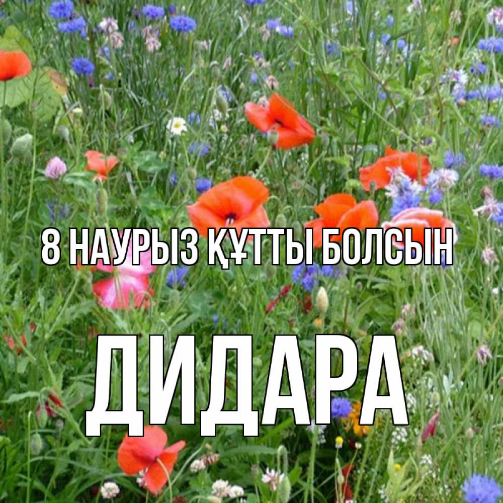 Күн сайын ашық хат с именем, ДИДАРА 8 наурыз құтты болсын международный женский день 4 Онлайн тегін жүктеп алу тілектері бар керемет карта 