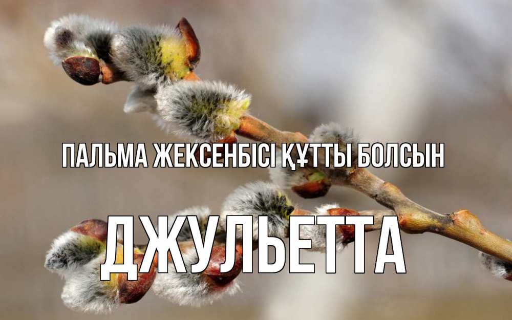 Күн сайын ашық хат с именем, Джульетта Пальма жексенбісі құтты болсын Верба Онлайн тегін жүктеп алу тілектері бар керемет карта 