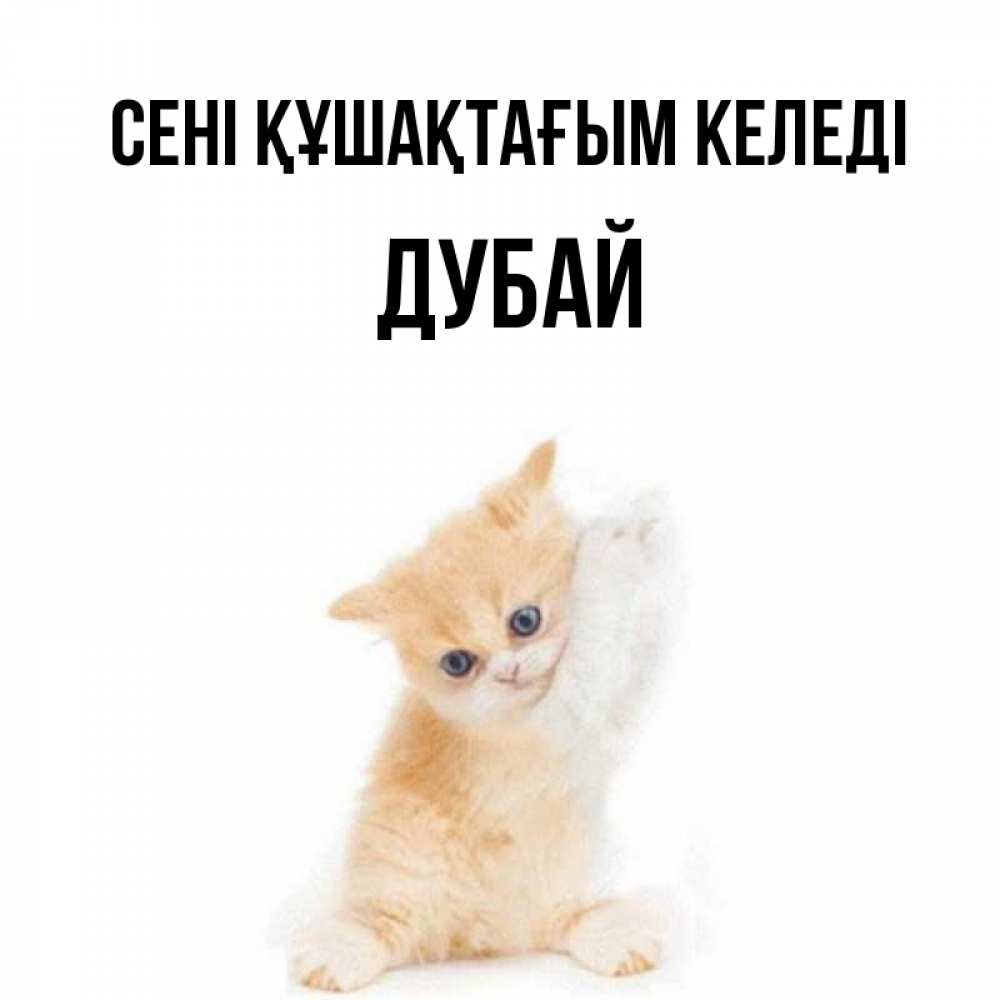 Күн сайын ашық хат с именем, Дубай сені құшақтағым келеді я хочу очень скорее обнимаешек Онлайн тегін жүктеп алу тілектері бар керемет карта 