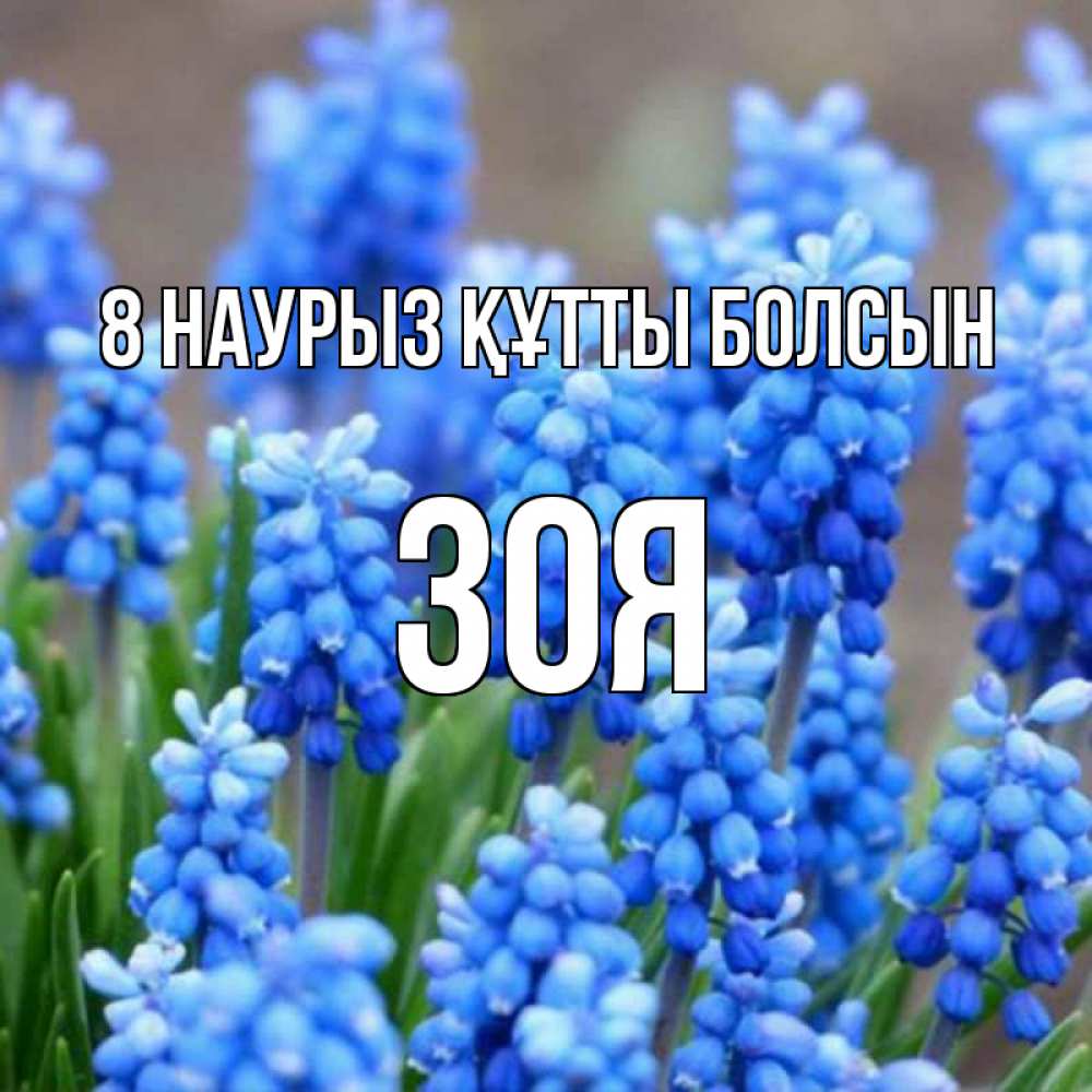 Күн сайын ашық хат с именем, Зоя 8 наурыз құтты болсын Поздравительная открытка для женщин с цветами на праздничную дату Онлайн тегін жүктеп алу тілектері бар керемет карта 